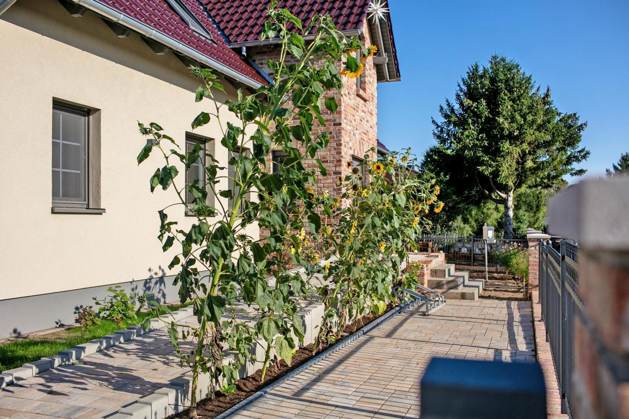 Ferienwohnungen Stolzenhagener 7 Lunow-Stolzenhagen Exterior photo
